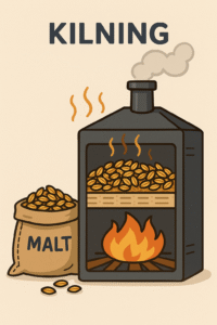 Malt Kilning Illustration