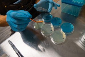 Beer Laboratory Testing